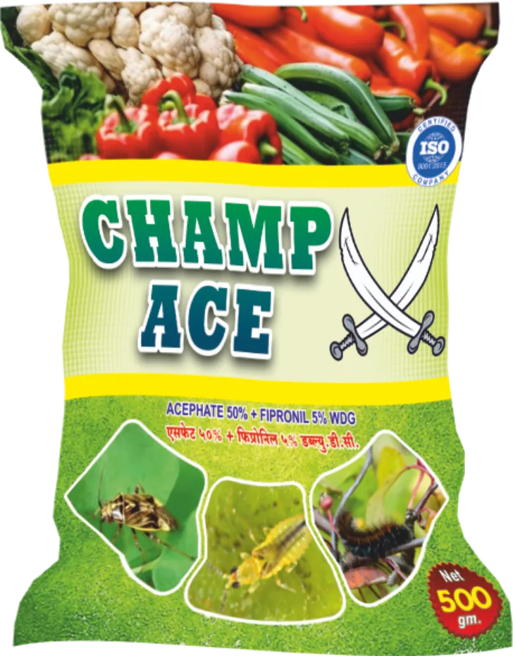 champ ace